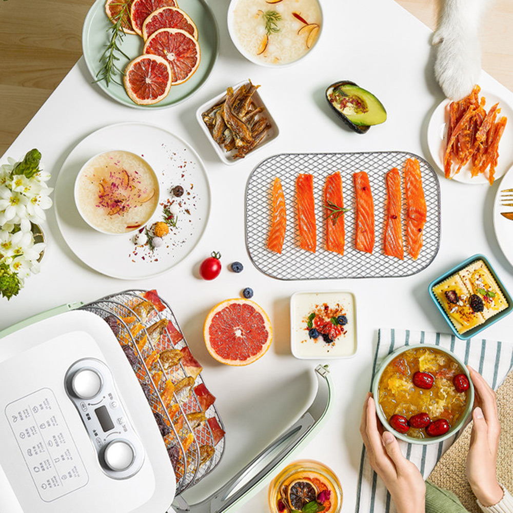 Essiccatore Domestico per Frut - Food Processor Snacks recensione e prezzo