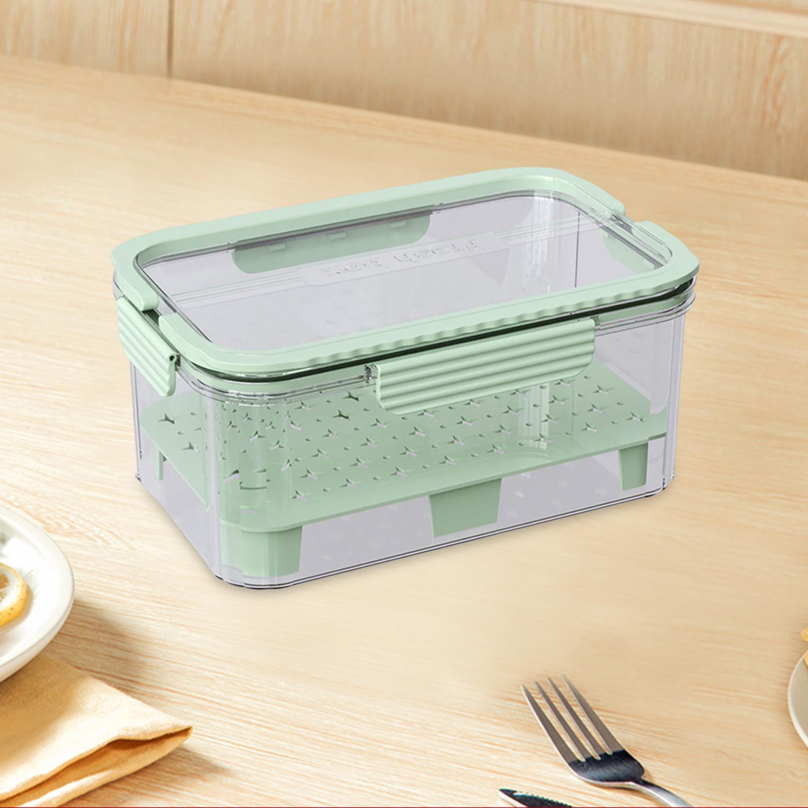 Contenitore Refrigerato per Al - Food Snacks For Camping recensione e prezzo