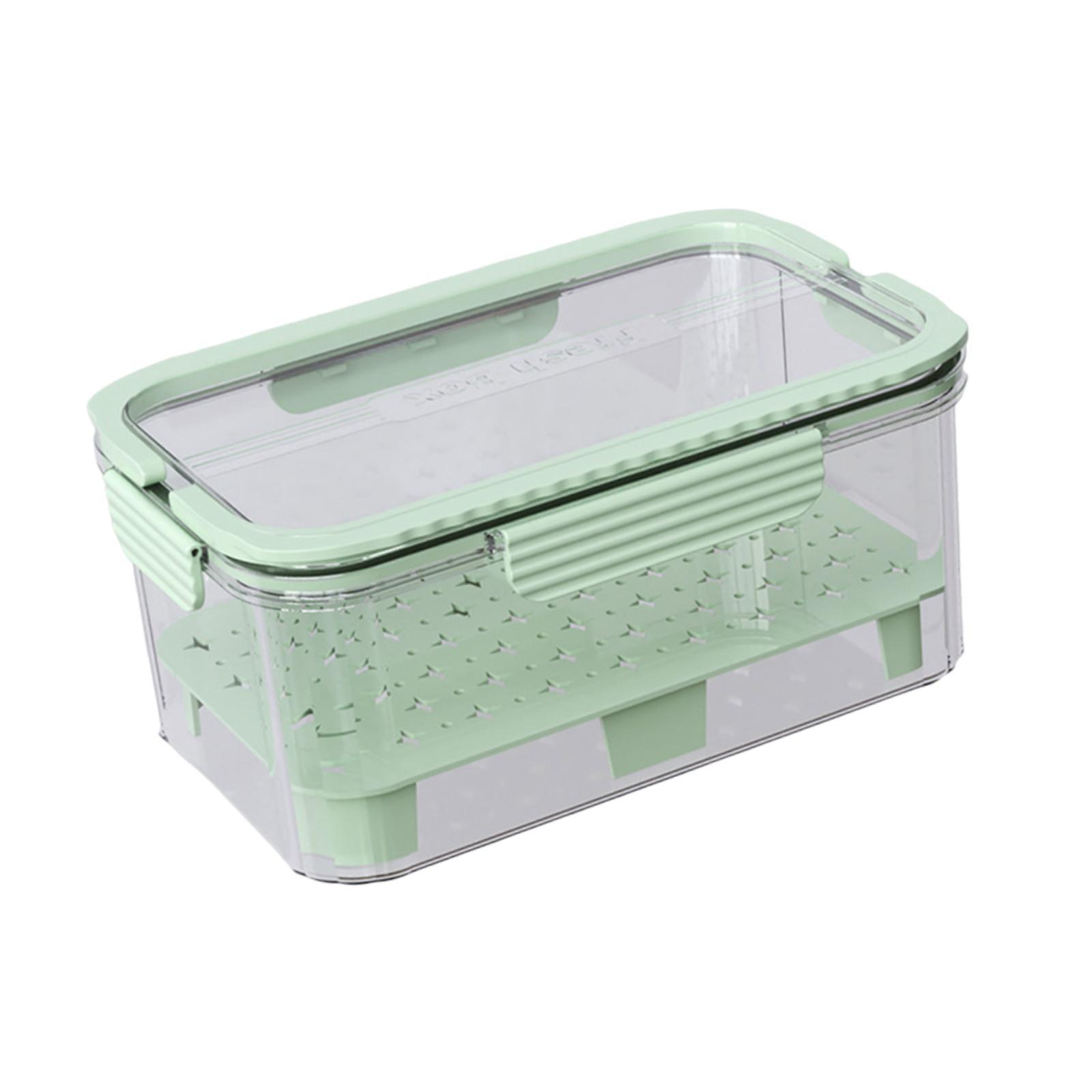 Contenitore Refrigerato per Al - Food Snacks For Camping recensione e prezzo